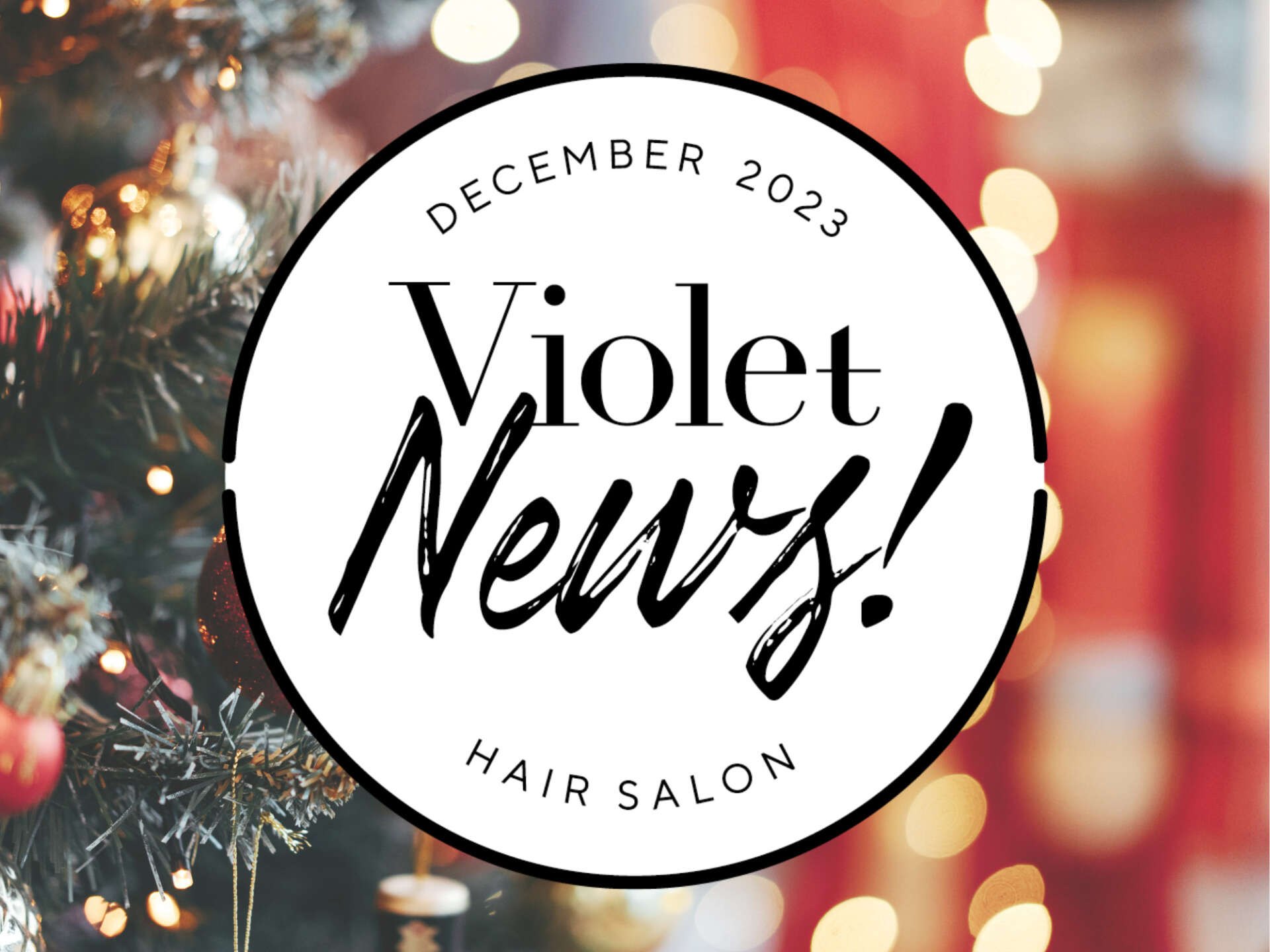 【Violet News! DECEMBER 2023】